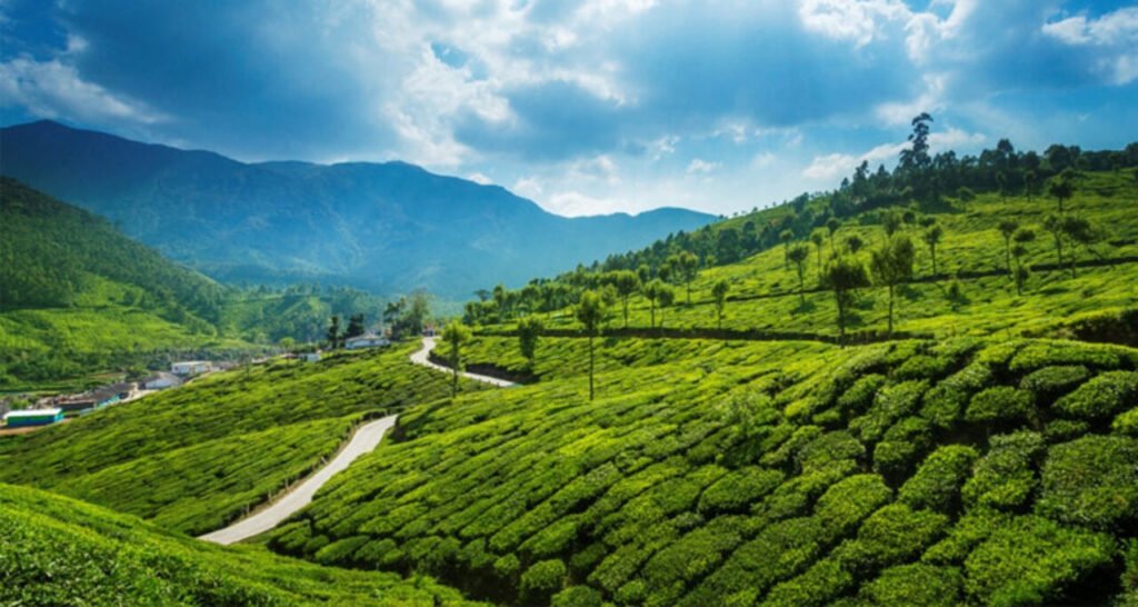 munnar-idukki-kerala-tourism-entry-fee-timings-holidays-reviews-small