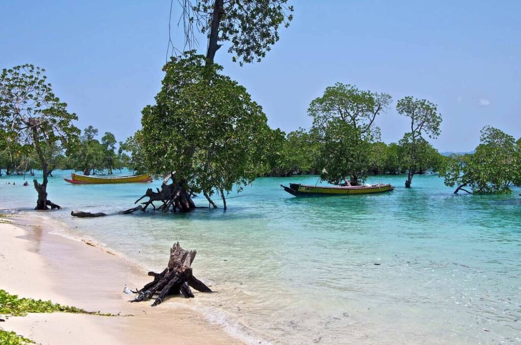 Andaman Baratang Island