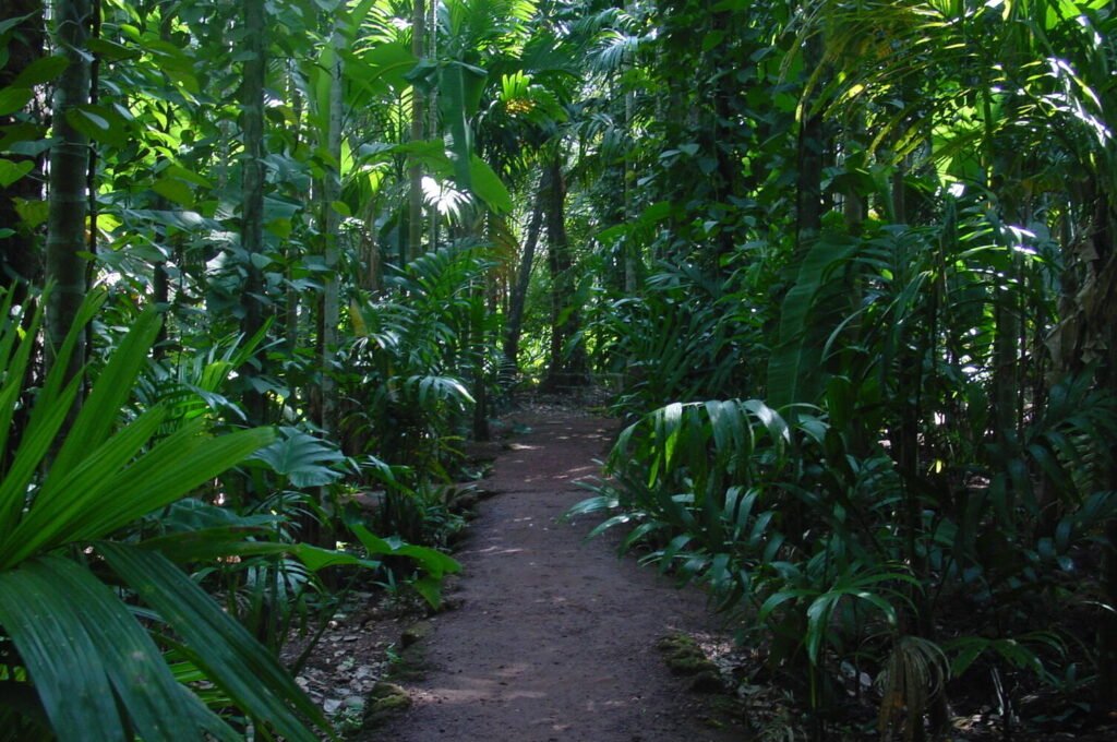 Goa Spice Plantations