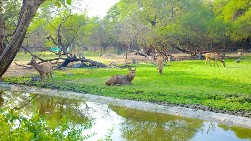 Hyderabad Nehru Zoological Park