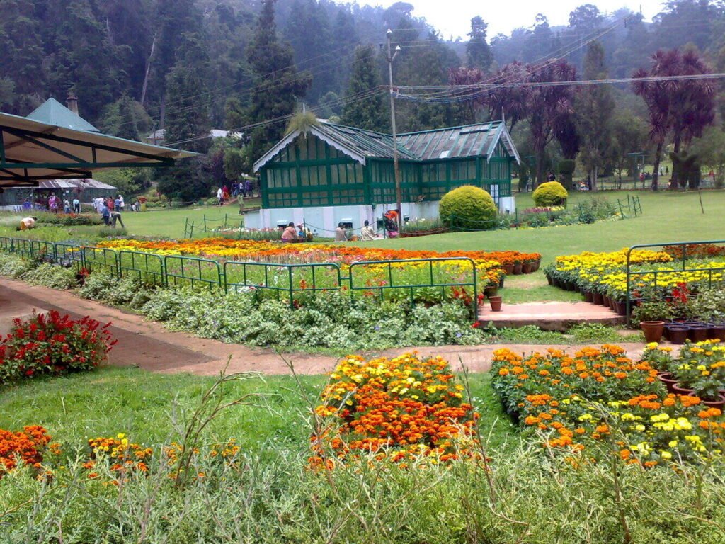 Ooty Botanical Garden