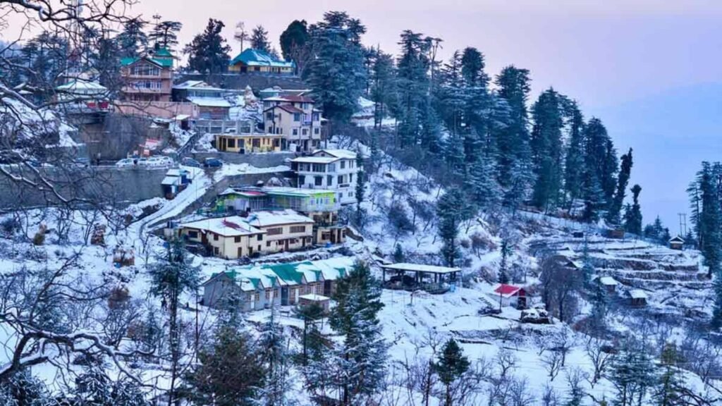 Shimla Kufri