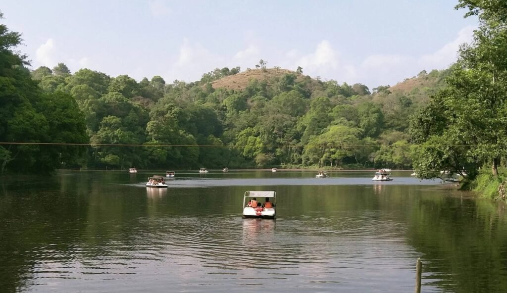 Wayanad Pookode Lake